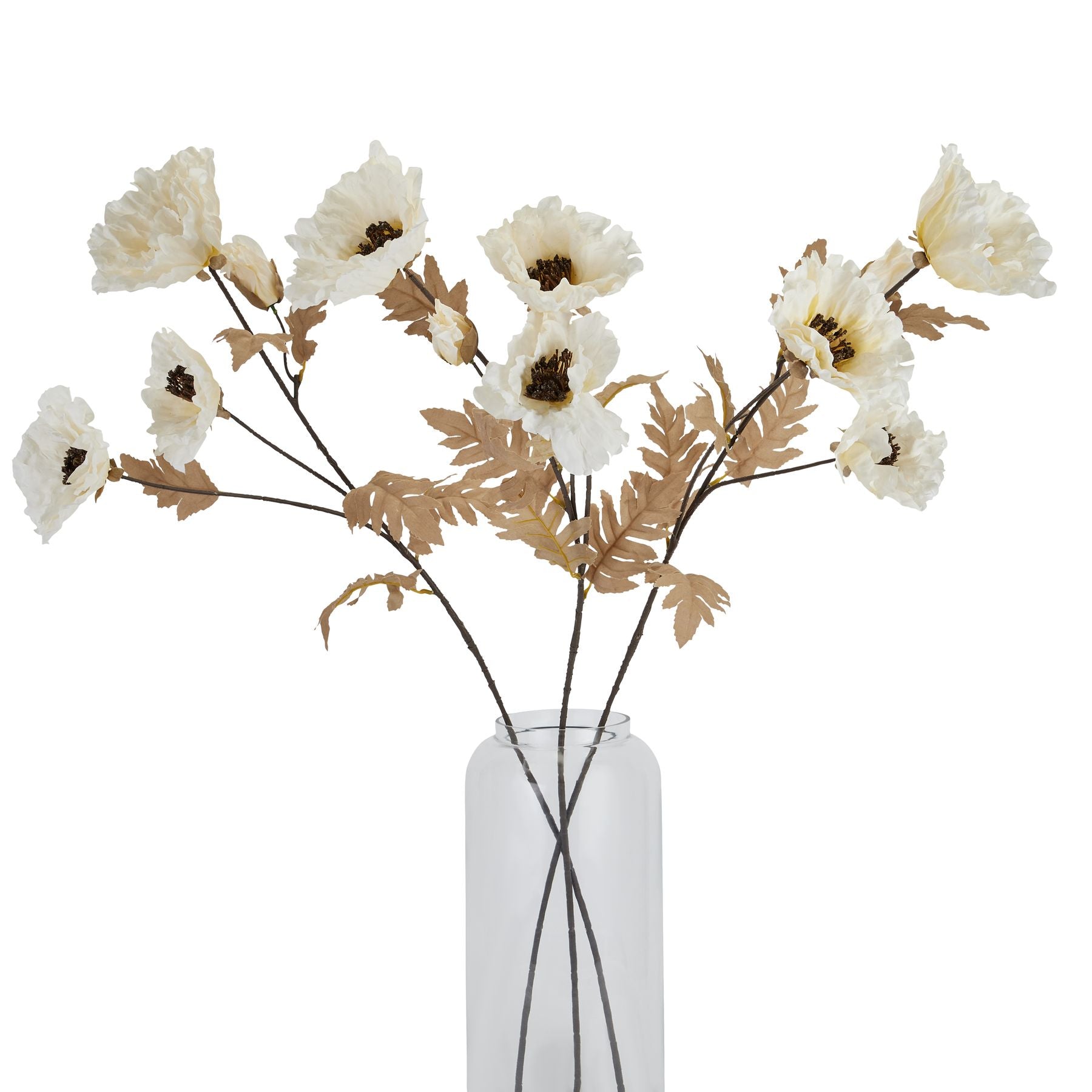 Classic White Poppy Stem