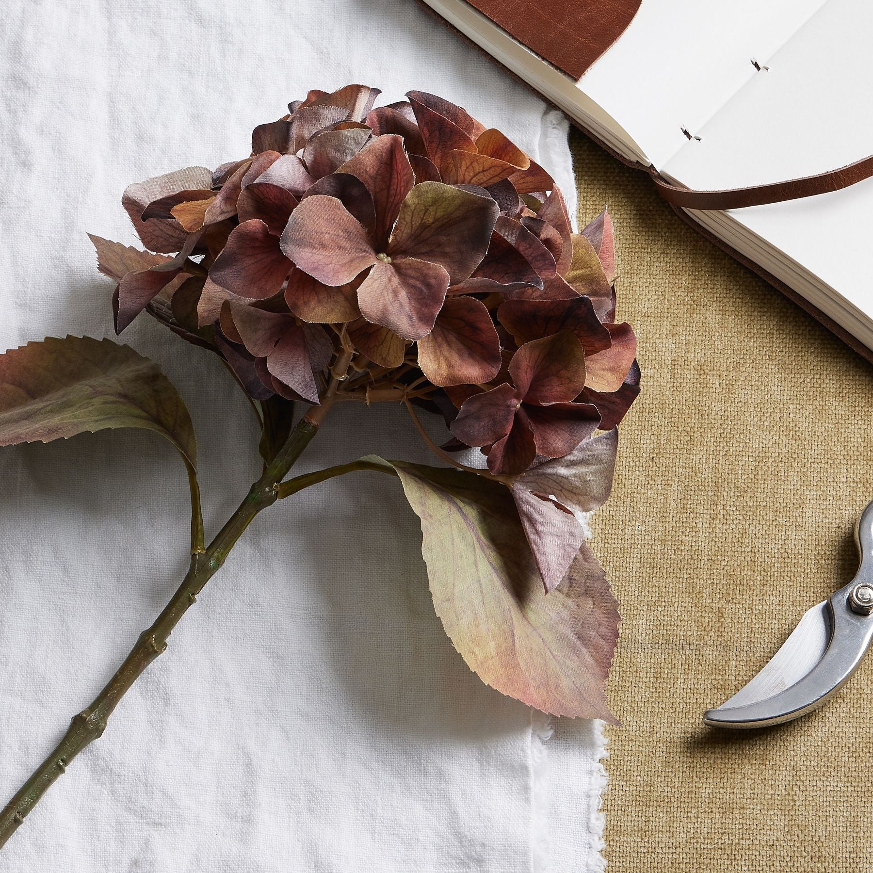 Brown & Rust Hydrangea Stem