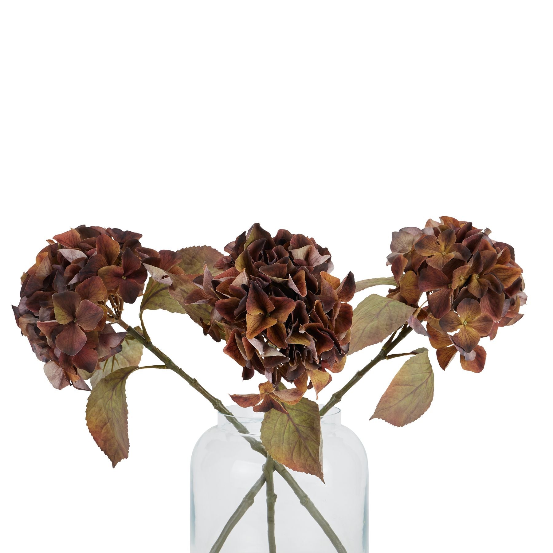 Brown & Rust Hydrangea Stem