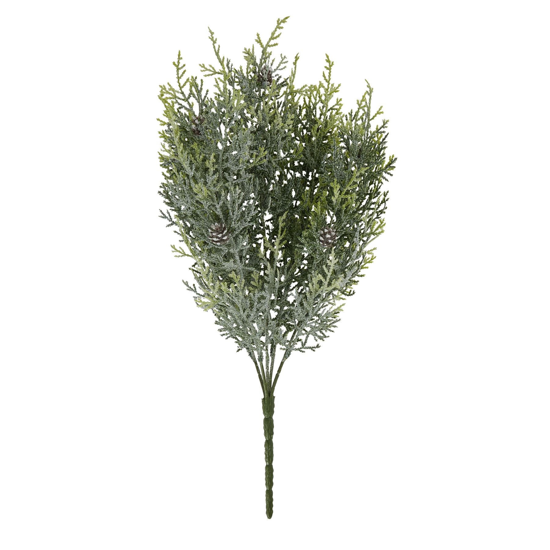 Frosted Pine Stem with Pinecones