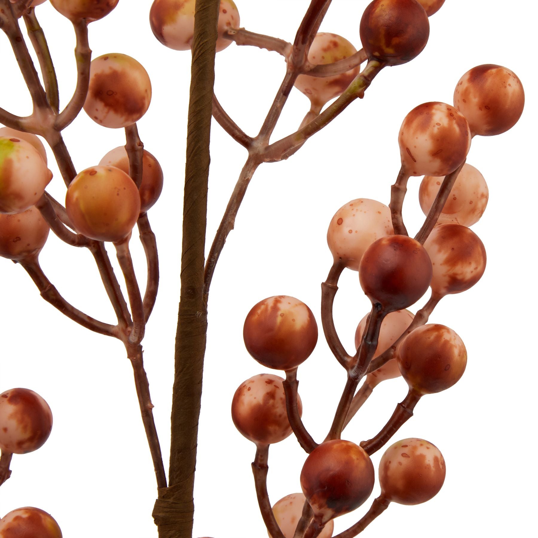 Autumn Berry Branch
