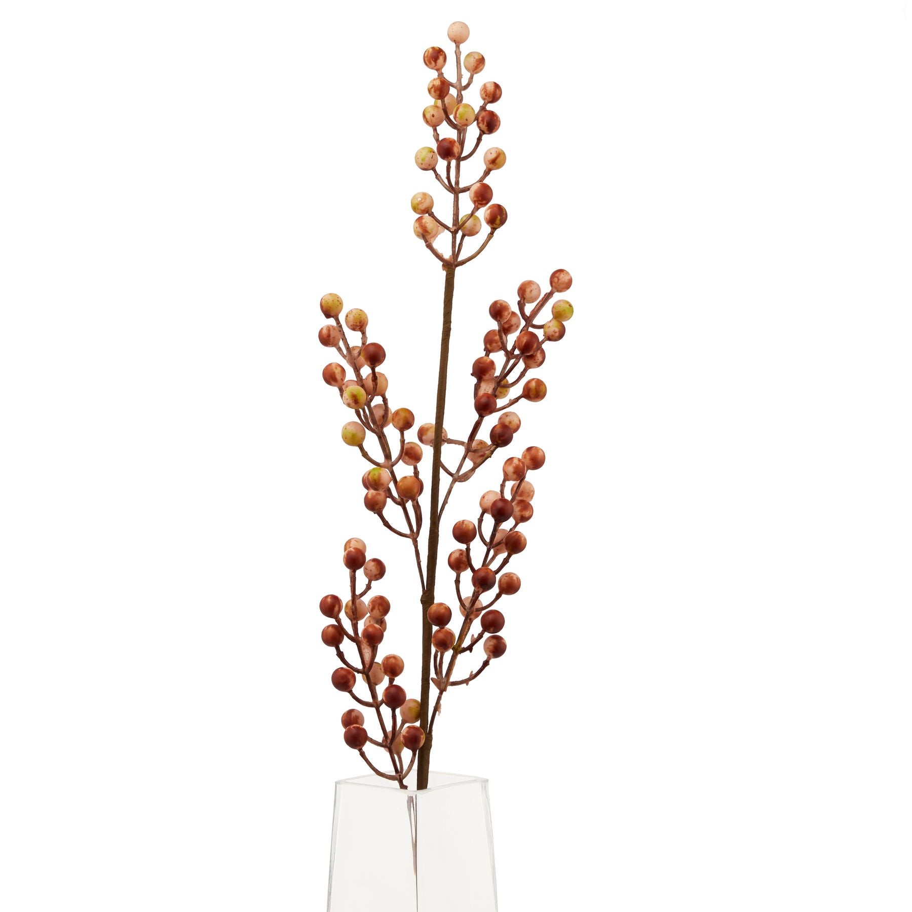 Autumn Berry Branch