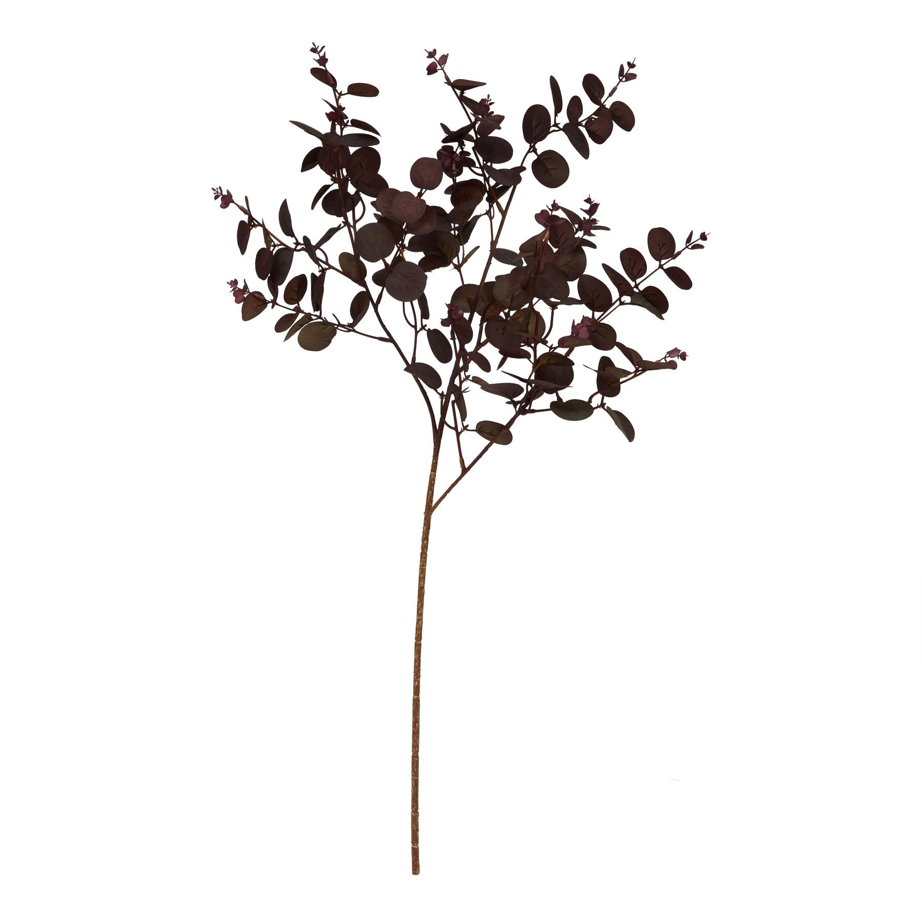 Burgundy Eucalyptus Stem