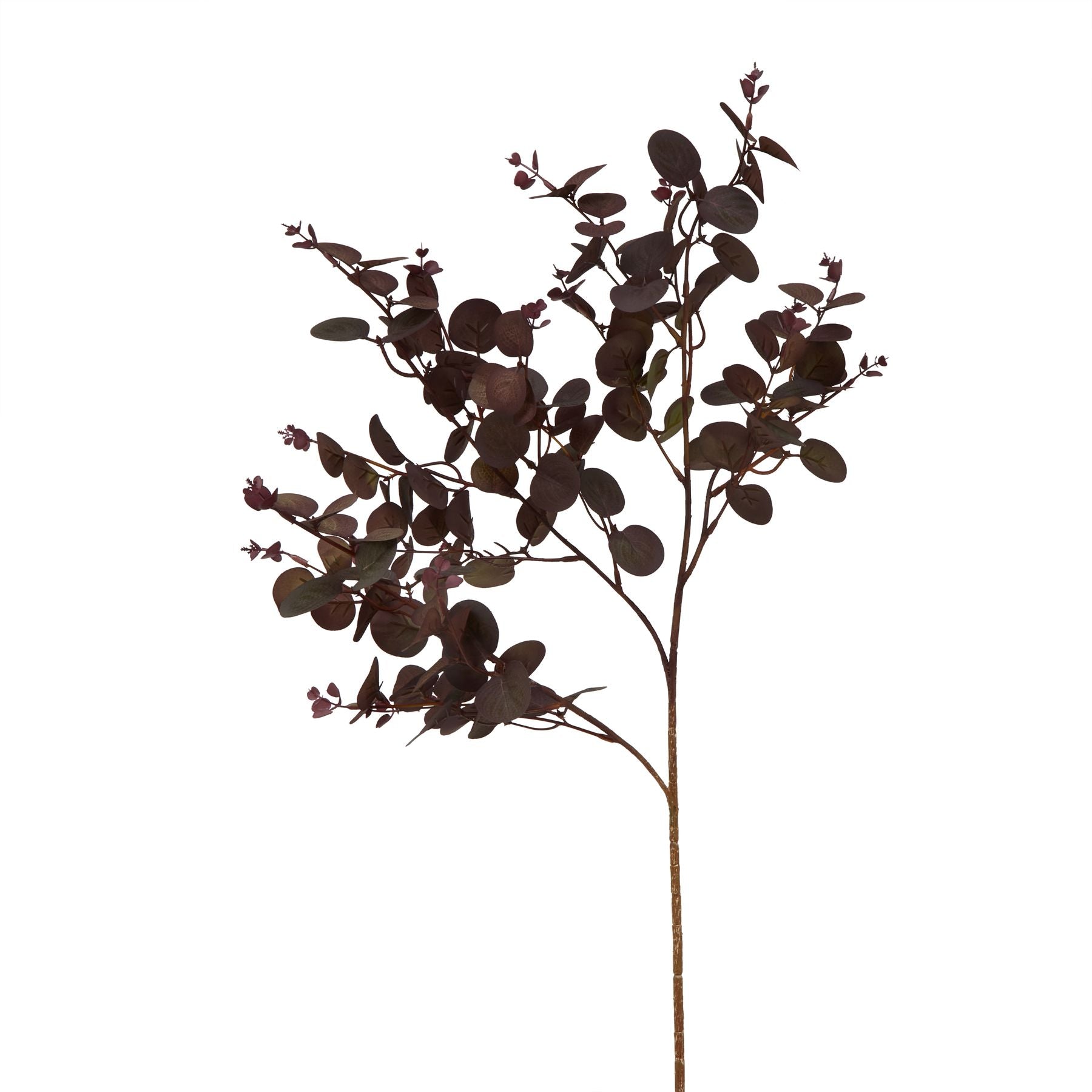 Burgundy Eucalyptus Stem