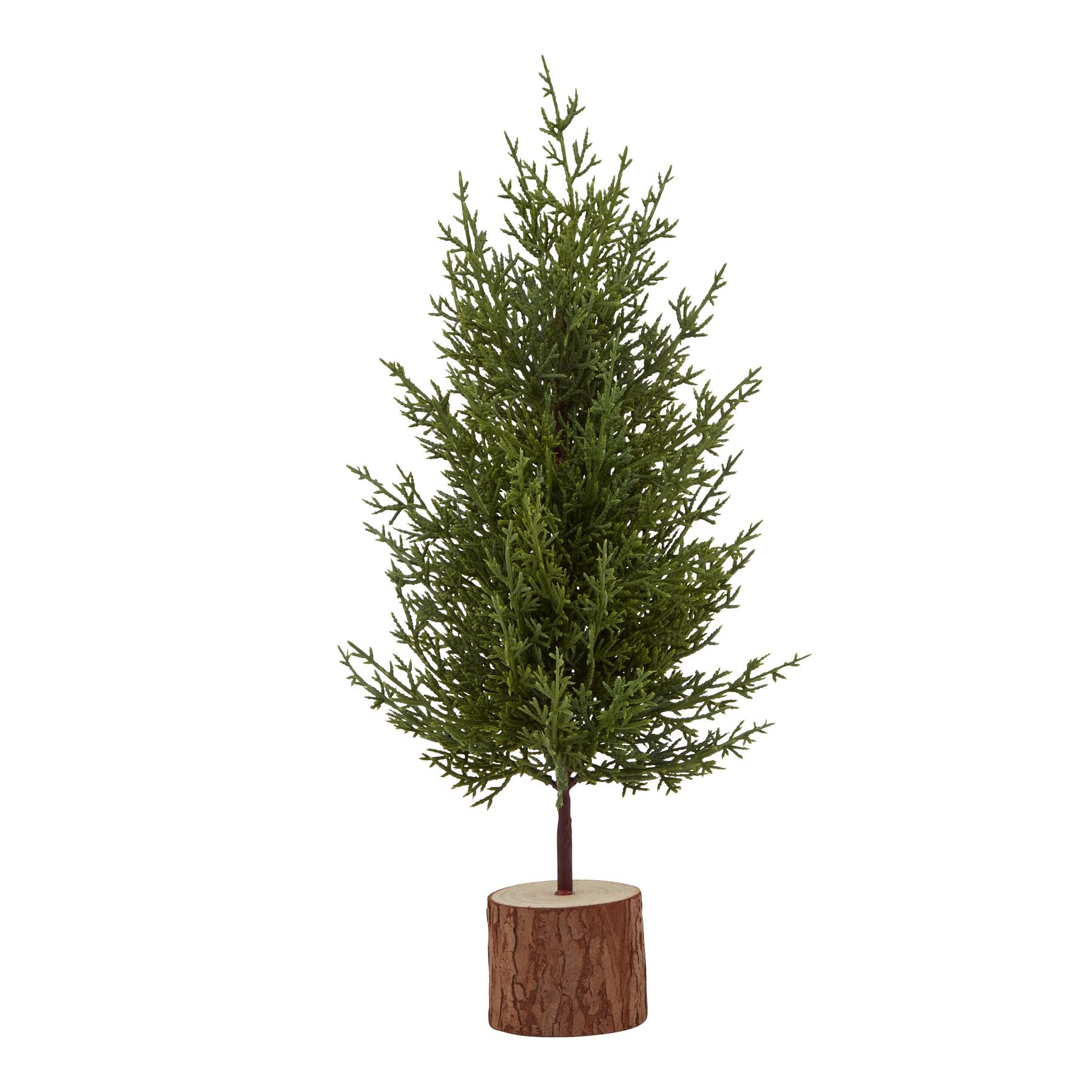 Mini Green Fir Tree