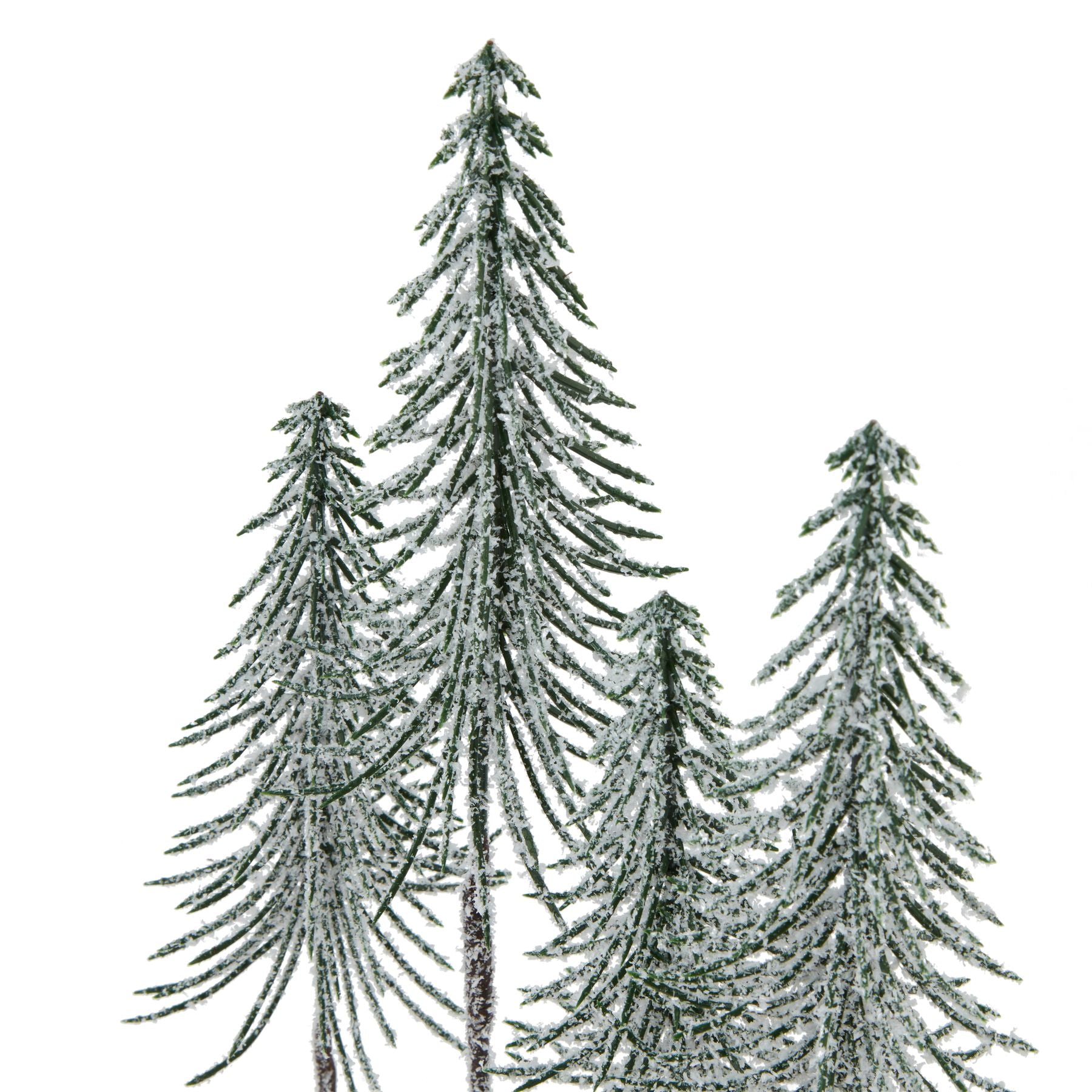 Snowy Spindle Tree Log