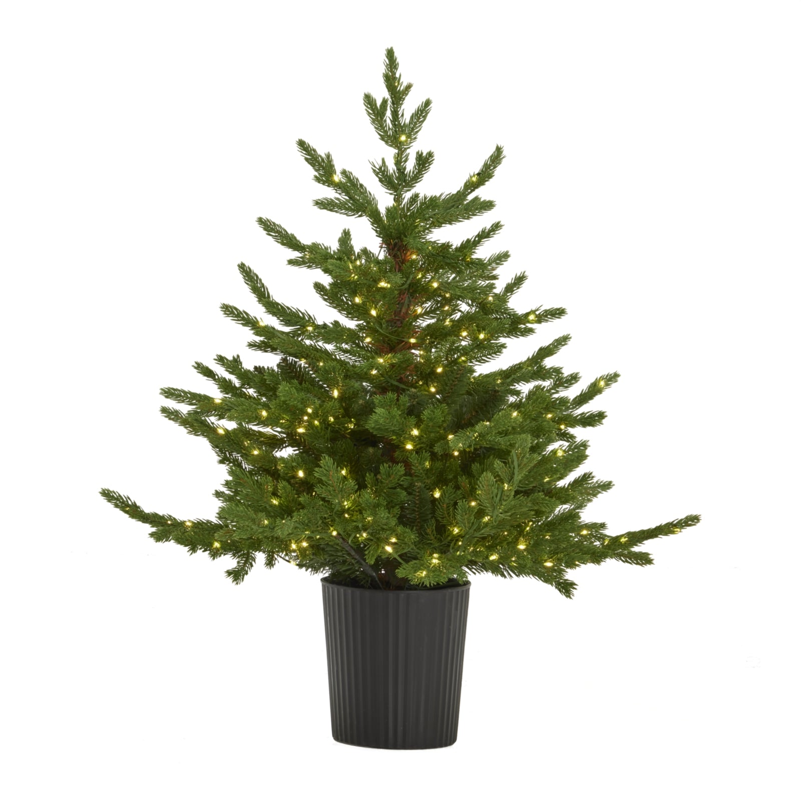 3ft Everra Green Woodland Fir Pre-Lit 300 LED Tree in Pot
