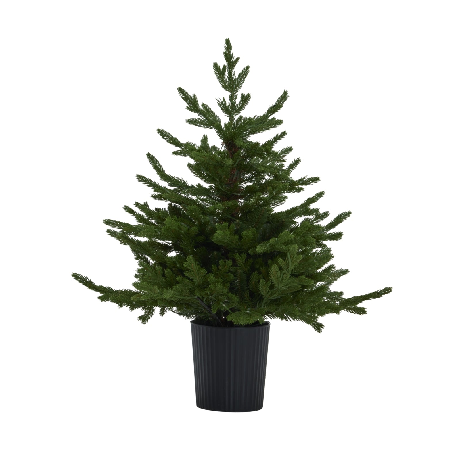 3ft Everra Green Woodland Fir Pre-Lit 300 LED Tree in Pot