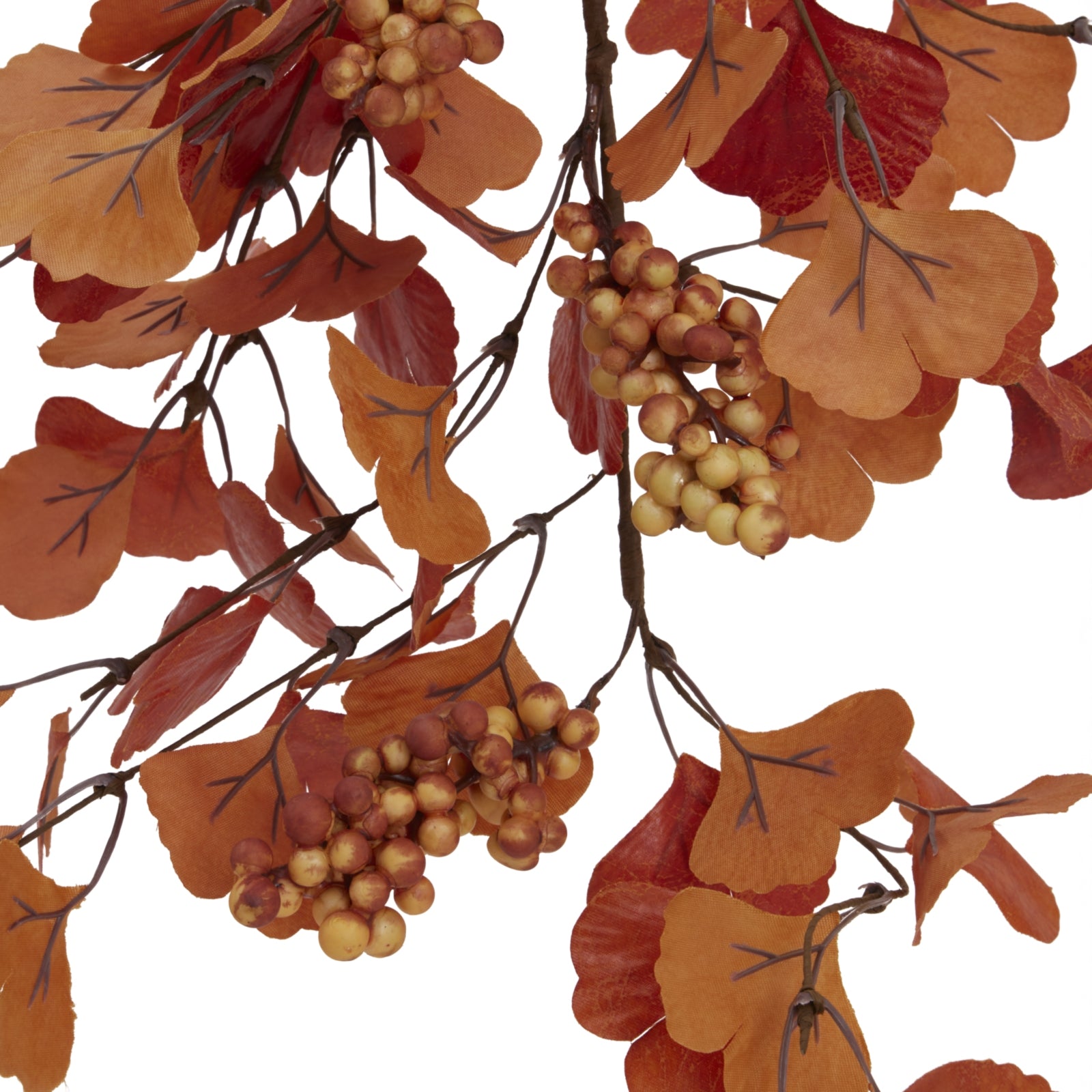 Autumn Stem With Berries