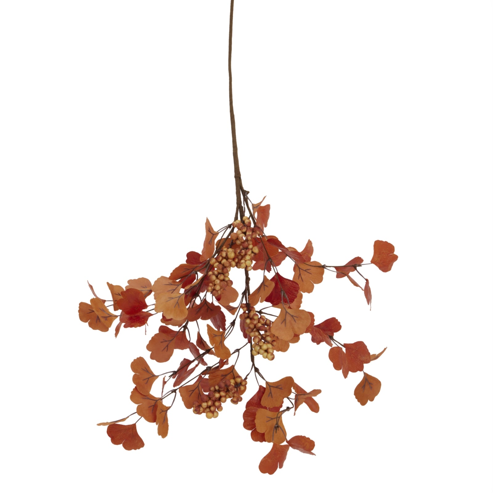 Autumn Stem With Berries