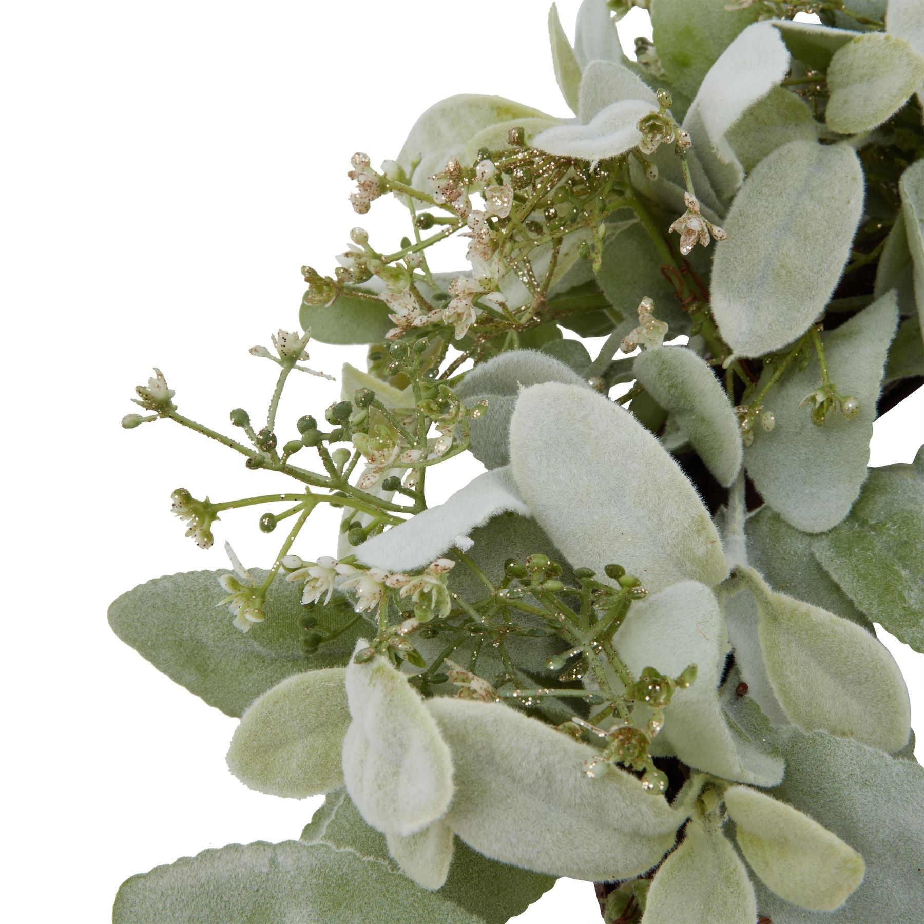 Winter Lamb’s Ear & Wax Flower Wreath