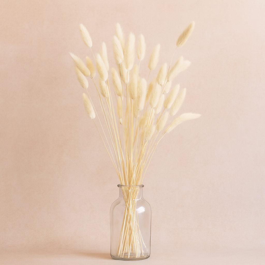 Natural Bunny Tail Grass - Bunch Of 40