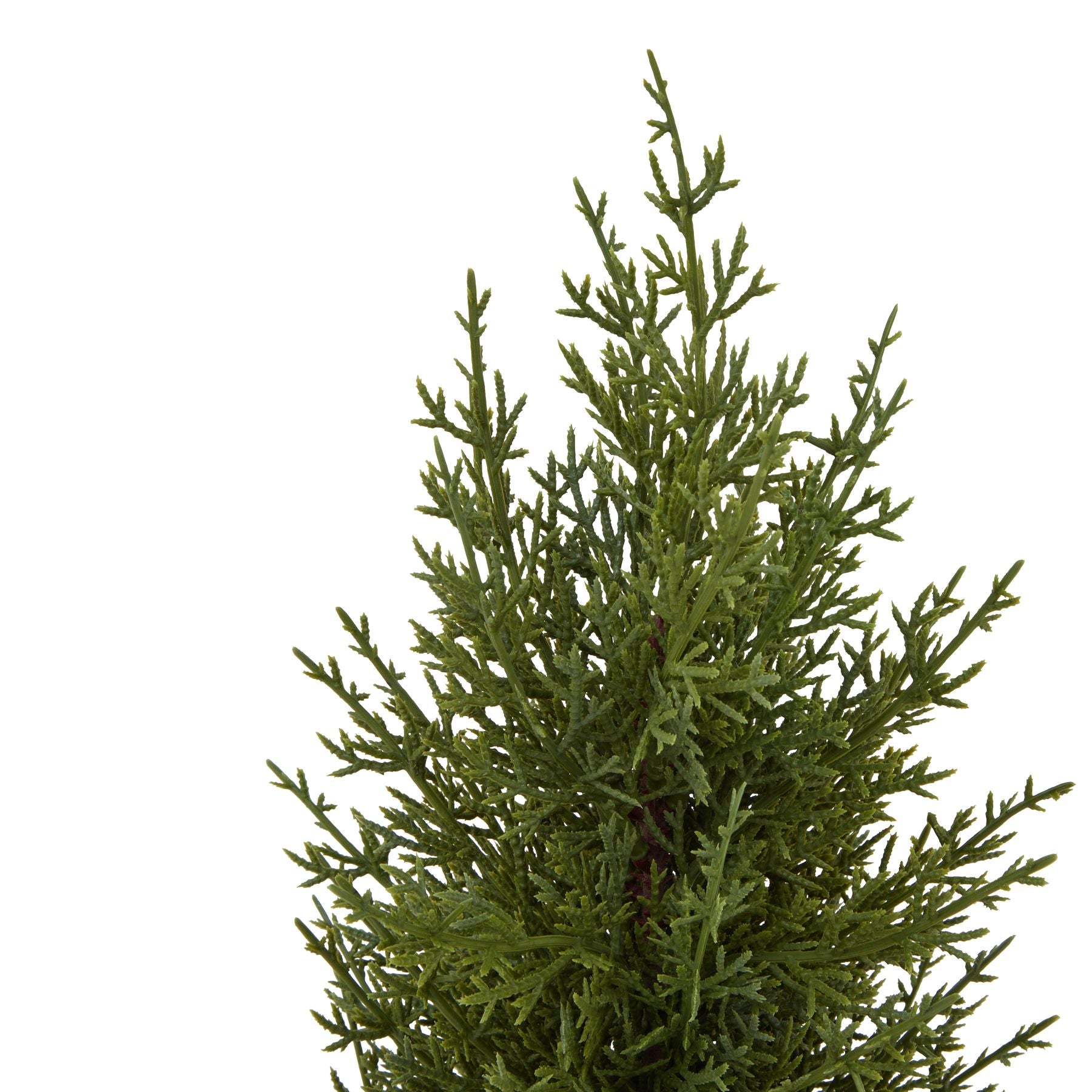 Mini Green Fir Tree